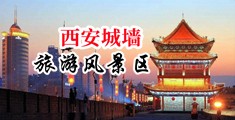美女露屄白慰18禁中国陕西-西安城墙旅游风景区